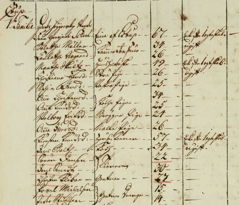 Udsnit af folketælling fra 1787 der viser navn, funktioner, alder og position i husstand blandt herskab og tjenestefolk på herregården Gammel Estrup. Det er skrevet med gammel gotisk håndskrift.